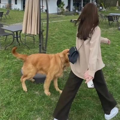 食人虫
